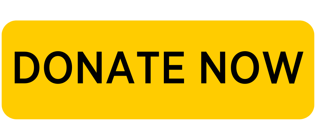 Donate Now Button - Scholarships